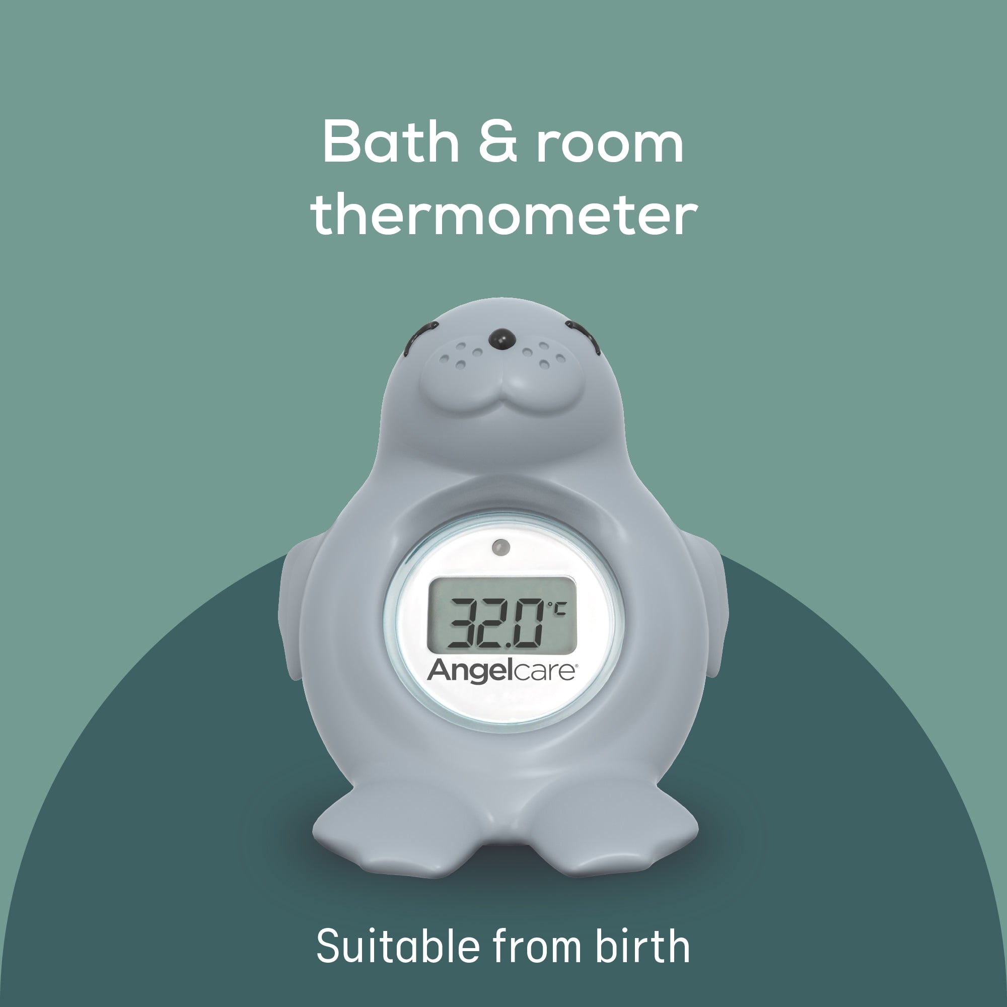 Room-thermometer-2-CA-EN