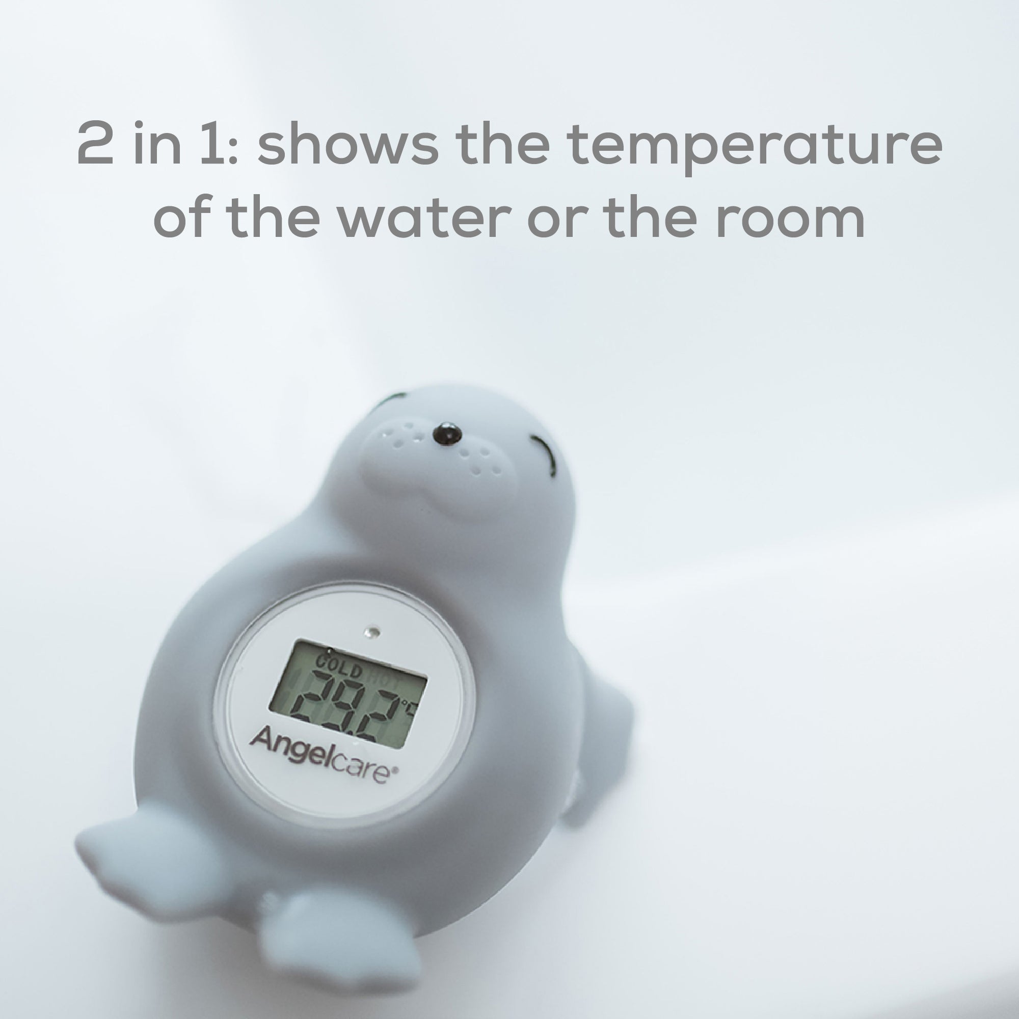 Room-thermometer-9-CA-EN